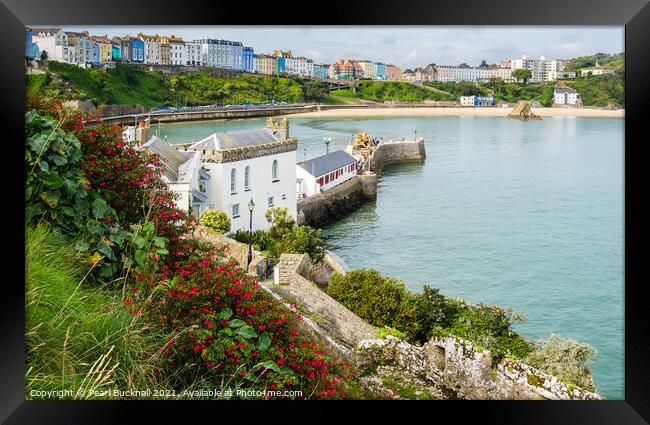 Tenby North Beach from Castle Hill Pembrokeshire Framed Print by Pearl Bucknall