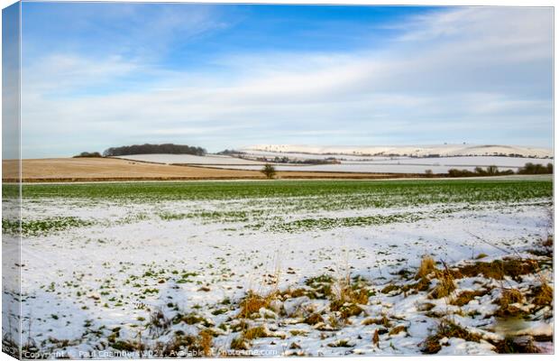 Winter Scenes in Wiltshire a snow covered field at Canvas Print by Paul Chambers