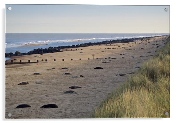 Seals on Horsey Beach, North Norfolk. Acrylic by mark humpage