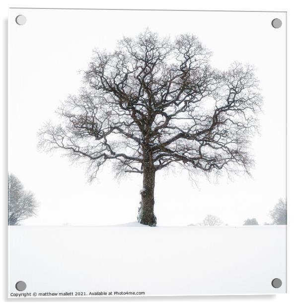 Selbrigg In The Snow Acrylic by matthew  mallett