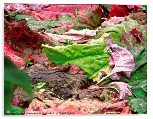 Rhubarb Leaf Abstract Acrylic by Stephanie Moore