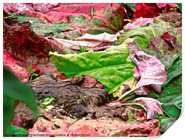 Rhubarb Leaf Abstract Print by Stephanie Moore