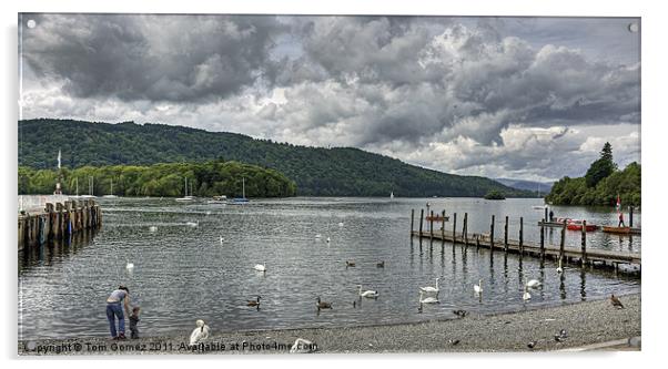 View over Windermere Acrylic by Tom Gomez