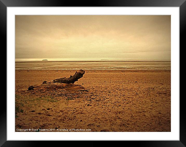 Silent watcher - Driftwood Framed Mounted Print by Susie Hawkins