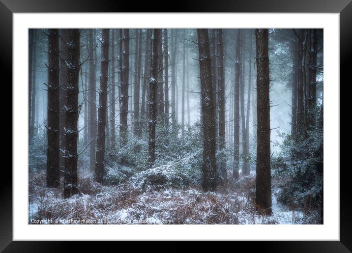 Kelling Heath Snow Framed Mounted Print by matthew  mallett
