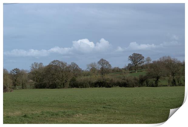 Wiltshire countryside  Print by Ollie Hully