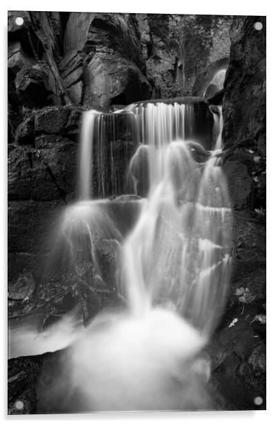 Lumsdale Falls, Matlock, Derbyshire Acrylic by Andrew Kearton