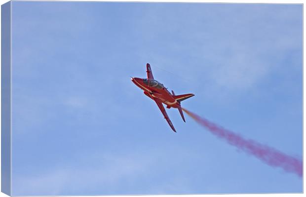 Red Arrow Canvas Print by Roger Green