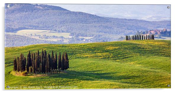 Hillside View, Tuscany Acrylic by Jim Monk