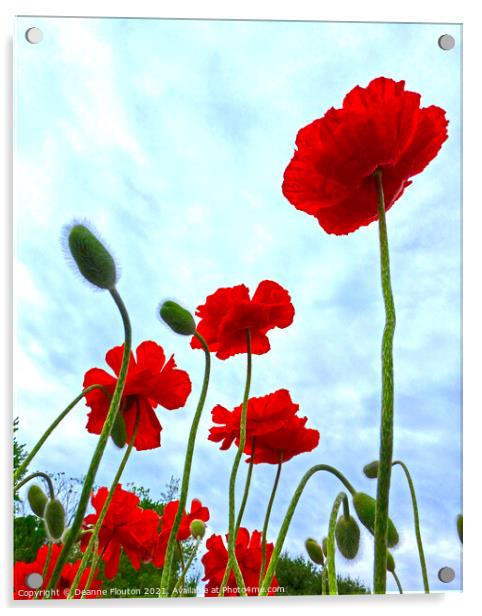 Majestic Poppies in a Field Acrylic by Deanne Flouton