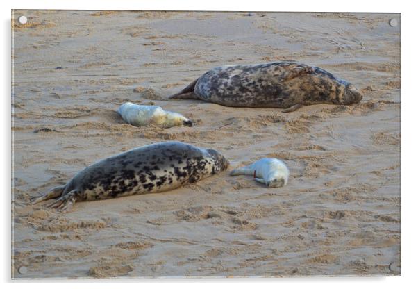 Seals on Horsey Beach, North Norfolk. Acrylic by mark humpage