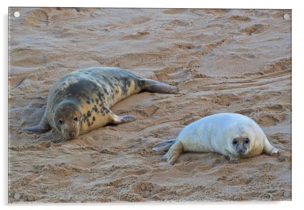 Seals on Horsey Beach, North Norfolk. Acrylic by mark humpage