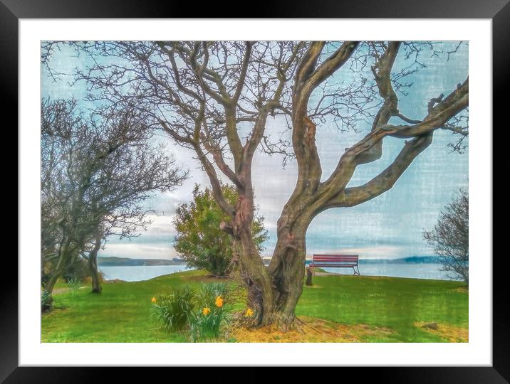View From Largs Over The Clyde Framed Mounted Print by Tylie Duff Photo Art