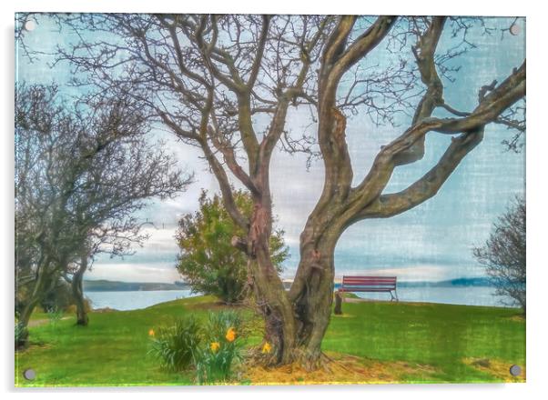 View From Largs Over The Clyde Acrylic by Tylie Duff Photo Art