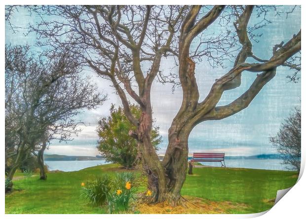 View From Largs Over The Clyde Print by Tylie Duff Photo Art