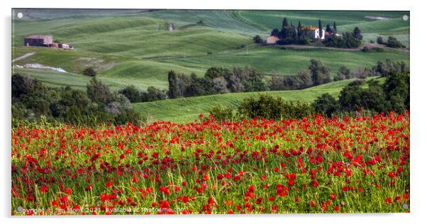 Tuscan Poppy Field Acrylic by Jim Monk