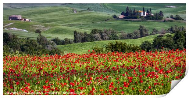Tuscan Poppy Field Print by Jim Monk