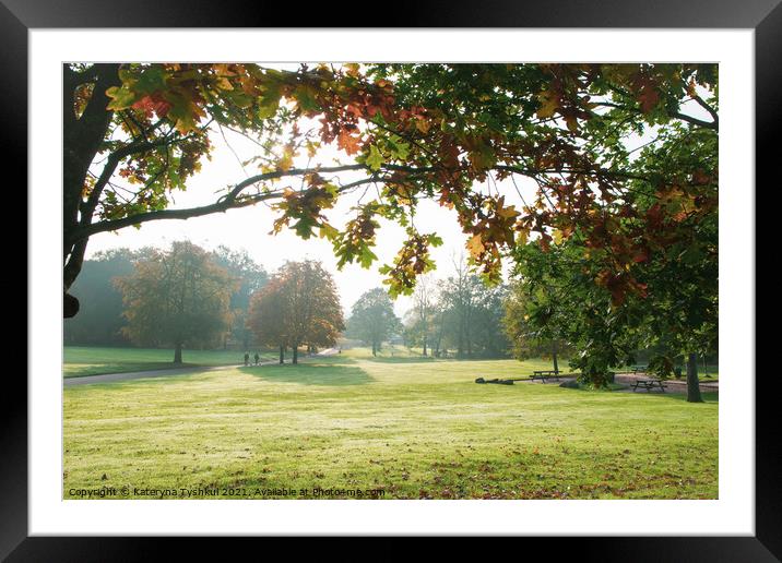 Golden Autumn in Heaton Park, Manchester, United K Framed Mounted Print by Kateryna Tyshkul