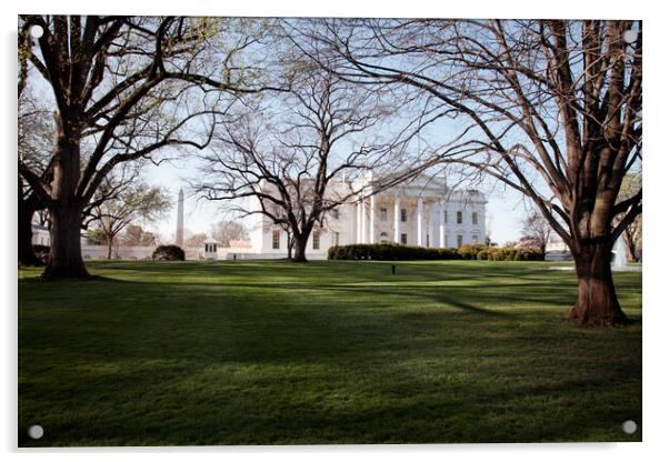 The White House, Washington, USA Acrylic by Neil Overy