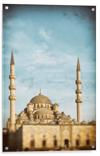 The New Mosque Yeni Cami, Istanbul, Turkey Acrylic by Neil Overy