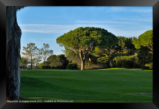 Peaceful Golf Course in Quinta do Lago Framed Print by Angelo DeVal