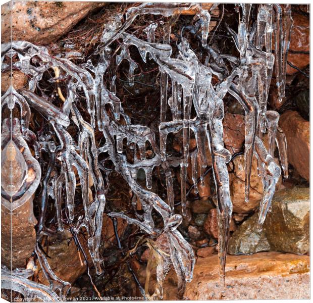 Frozen, ice and icicle encrusted roots Canvas Print by Photimageon UK