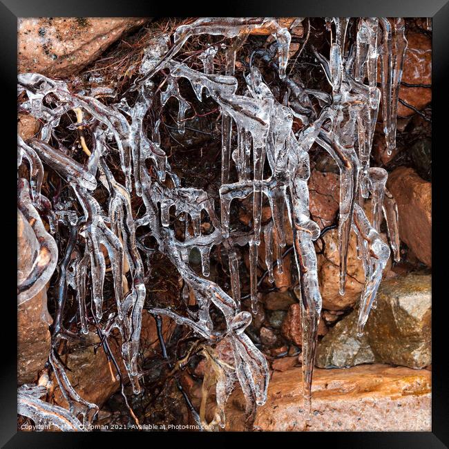 Frozen, ice and icicle encrusted roots Framed Print by Photimageon UK