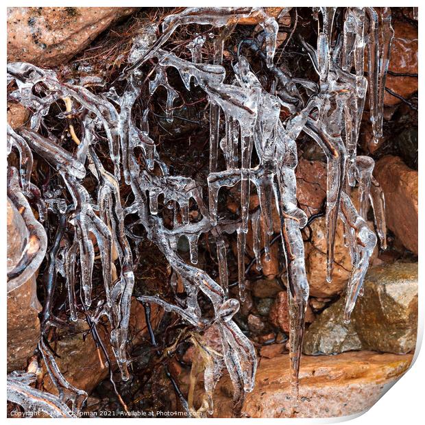 Frozen, ice and icicle encrusted roots Print by Photimageon UK