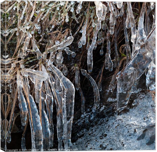 Ice and icicle encrusted blades of grass Canvas Print by Photimageon UK