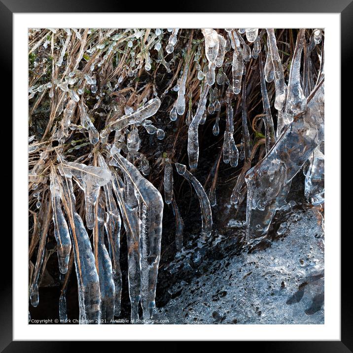 Ice and icicle encrusted blades of grass Framed Mounted Print by Photimageon UK