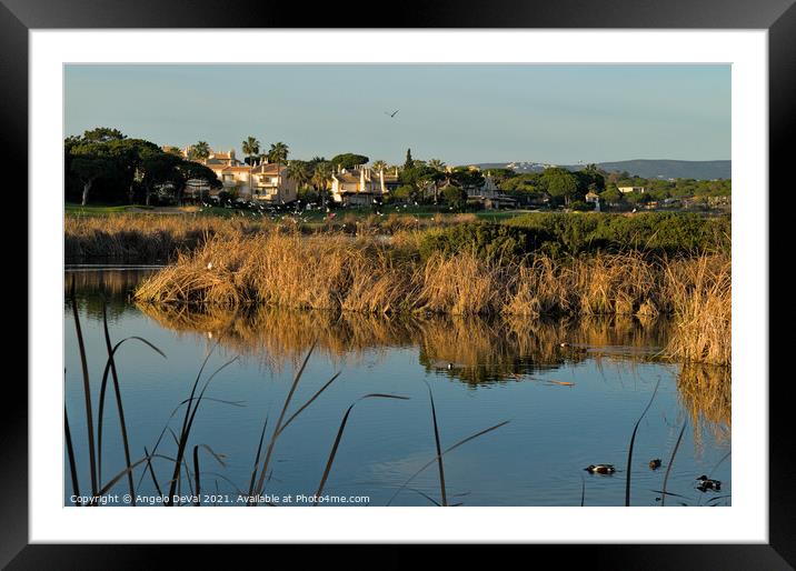 Birds by the Lake in Quinta do Lago Framed Mounted Print by Angelo DeVal
