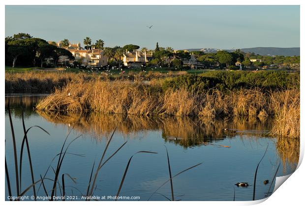 Birds by the Lake in Quinta do Lago Print by Angelo DeVal