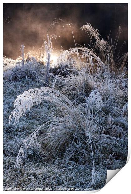 Mist, hoar frost and grass Print by Photimageon UK