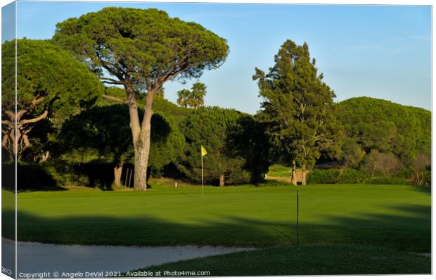 Trees and grassy Golf Course of Quinta do Lago Canvas Print by Angelo DeVal