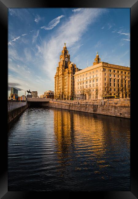 Reflections of the Liver Building at dusk Framed Print by Jason Wells