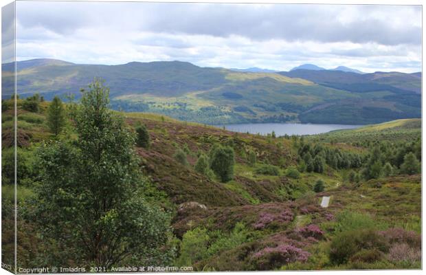 Edramucky Trail, Ben Lawers National Nature Reserv Canvas Print by Imladris 