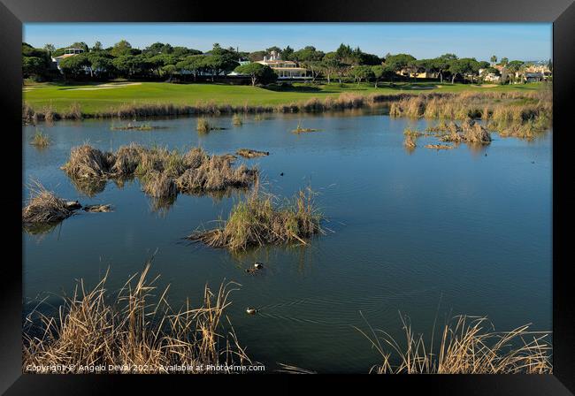 There is a Lake in Quinta do Lago Framed Print by Angelo DeVal
