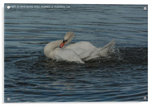 Swan  Acrylic by Aimie Burley