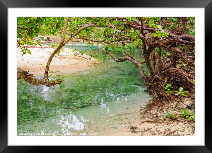 Tidal Creek - Espiritu Santo Framed Mounted Print by Laszlo Konya