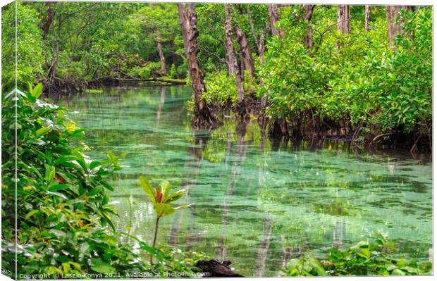 Crystal clear water - Espiritu Santo Canvas Print by Laszlo Konya