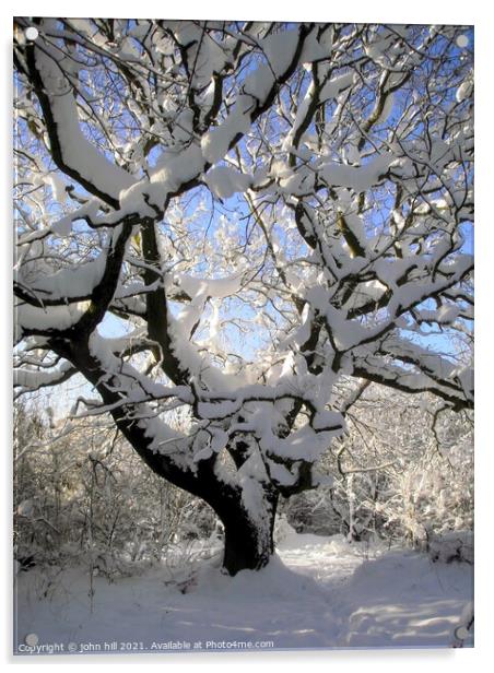 Winter tree art. Acrylic by john hill