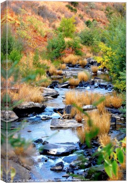 Stream in Central Drakensberg South Africa in Wint Canvas Print by Pieter Marais