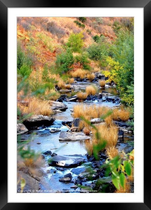Stream in Central Drakensberg South Africa in Wint Framed Mounted Print by Pieter Marais