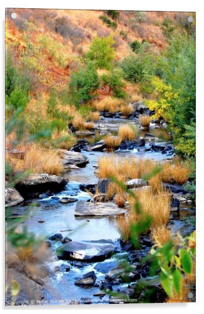 Stream in Central Drakensberg South Africa in Wint Acrylic by Pieter Marais