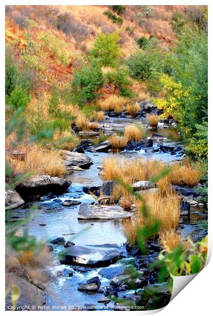 Stream in Central Drakensberg South Africa in Wint Print by Pieter Marais