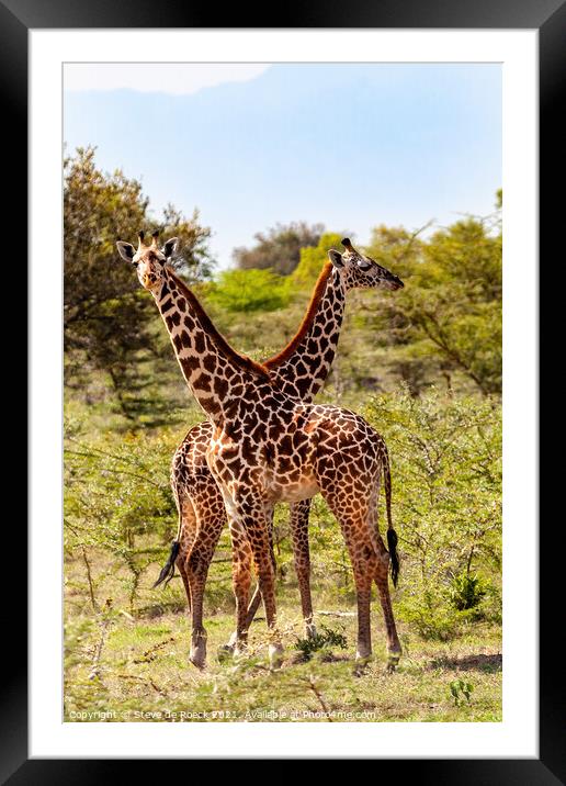 Masai Giraffe Framed Mounted Print by Steve de Roeck