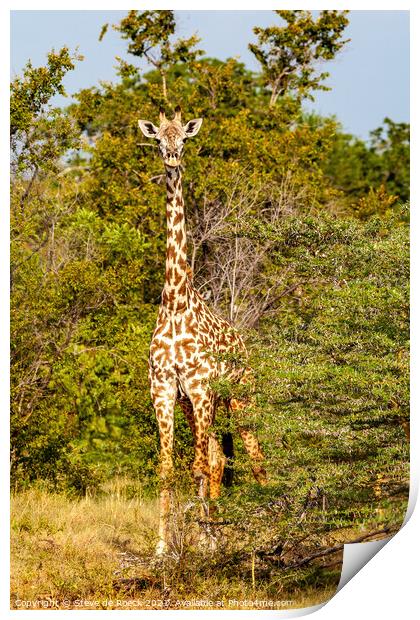 Masai Giraffe Print by Steve de Roeck
