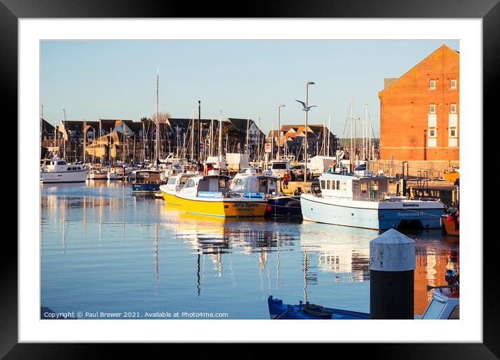 Weymouth Harbour and Marina Framed Mounted Print by Paul Brewer