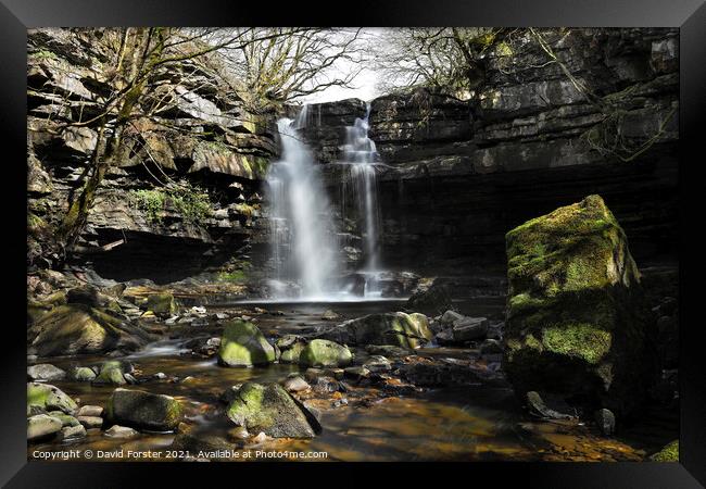 Summerhill Force and Gibson’s Cave in Spring Sunshine, Teesdale Framed Print by David Forster