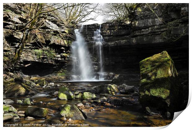 Summerhill Force and Gibson’s Cave in Spring Sunshine, Teesdale Print by David Forster